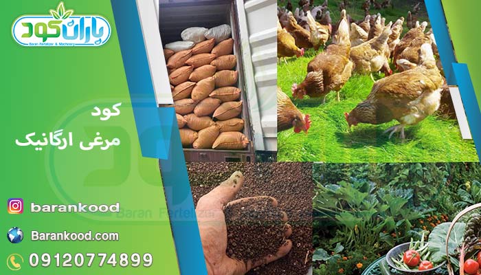 کود مرغی ارگانیک