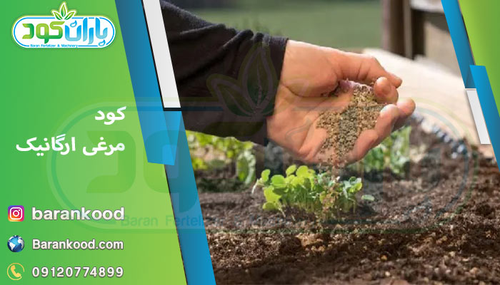 کود مرغی ارگانیک