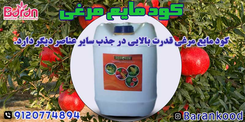 کود مایع مرغی