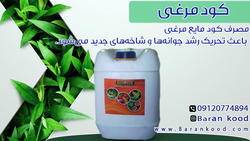 کود مایع مرغی