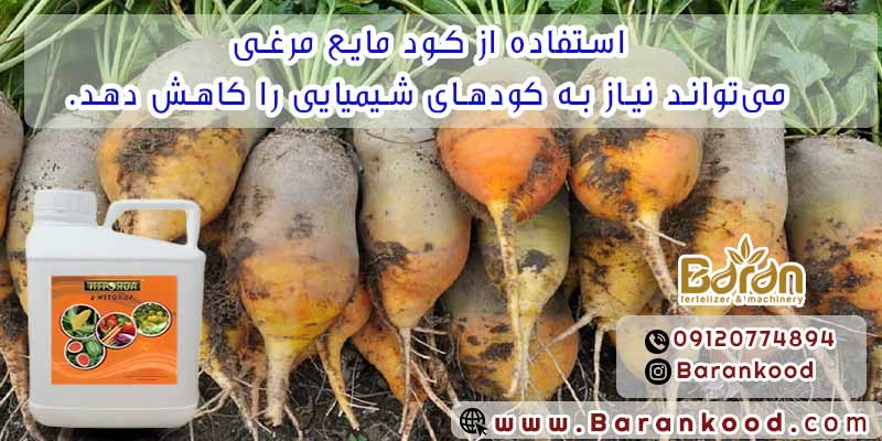 کود مایع مرغی