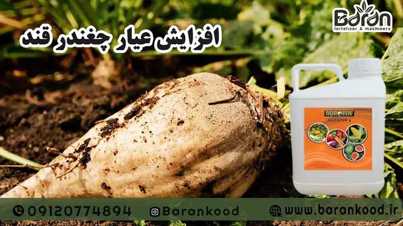 کود مایع مرغی