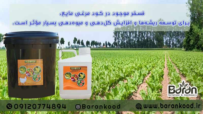 کود مایع مرغی