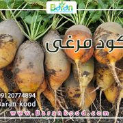 کود مایع مرغی