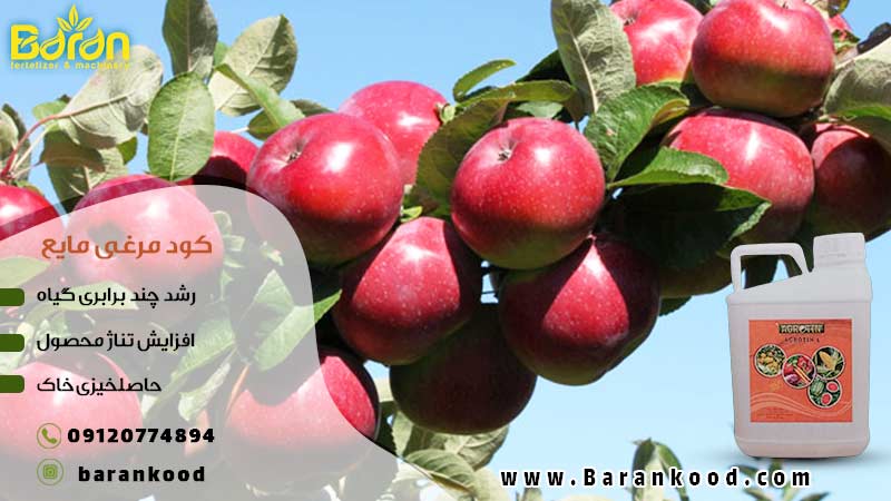 کود مایع مرغی