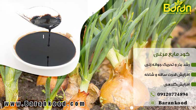 کود مایع مرغی