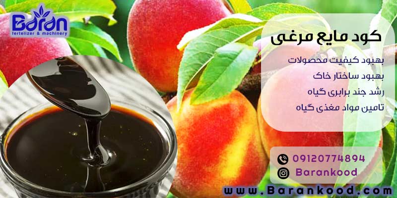 کود مایع مرغی