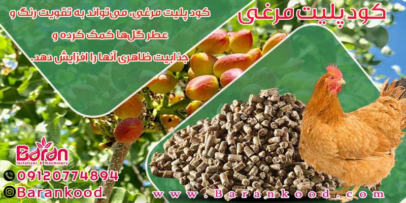 کود پلیت مرغی