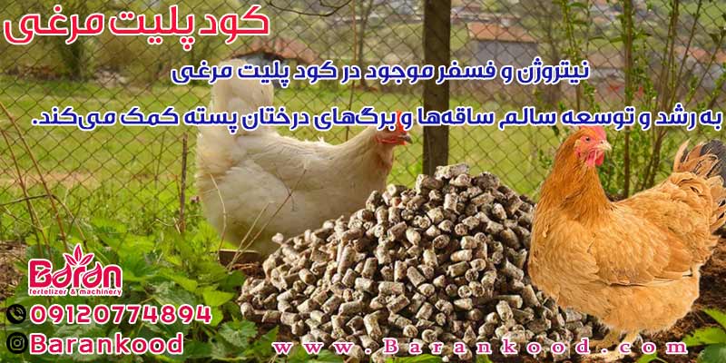 کود پلیت مرغی