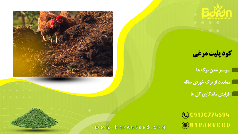 کود پلیت مرغی غنی شده