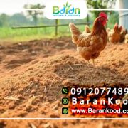 کود پلیت مرغی