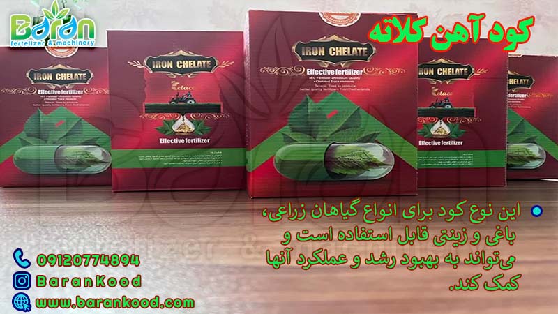 کود آهن کلاته 