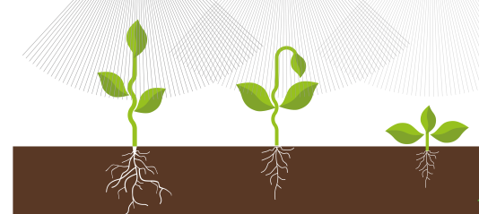 خرید ارزان ترین کود