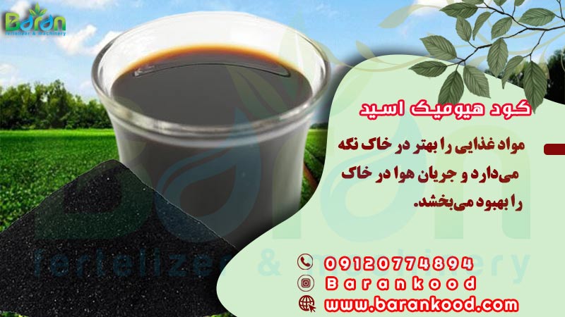 کود هیومیک اسید