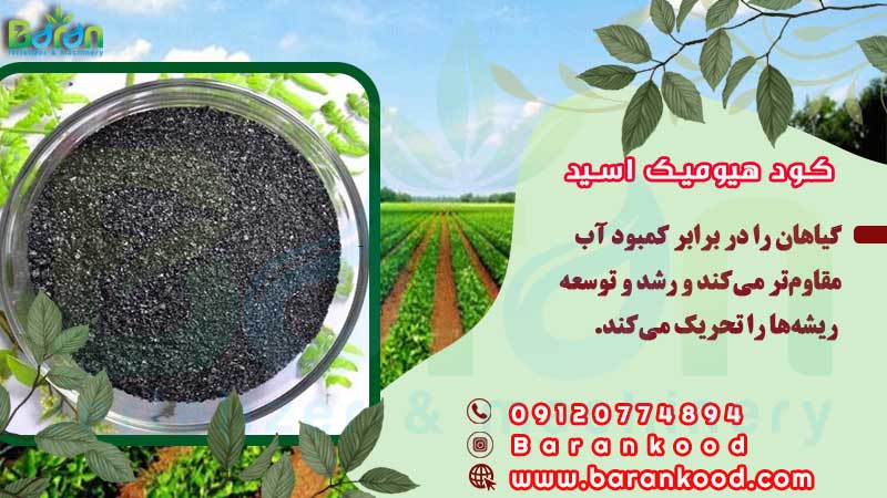 کود هیومیک اسید