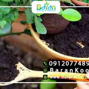 کود مرغی غنی شده