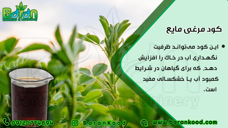 کود مایع مرغی ویژه یونجه