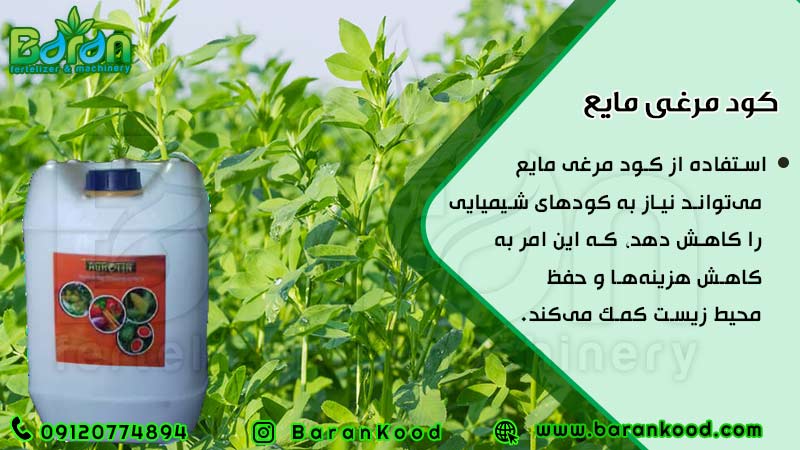 کود مایع مرغی ویژه یونجه