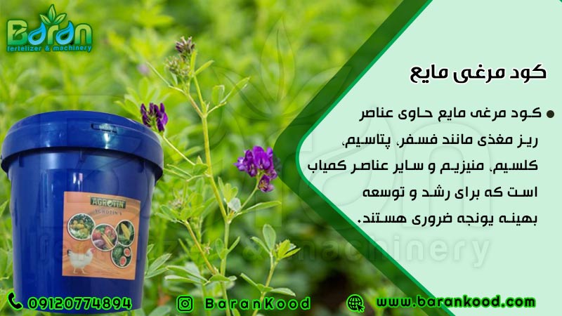 کود مایع مرغی ویژه یونجه