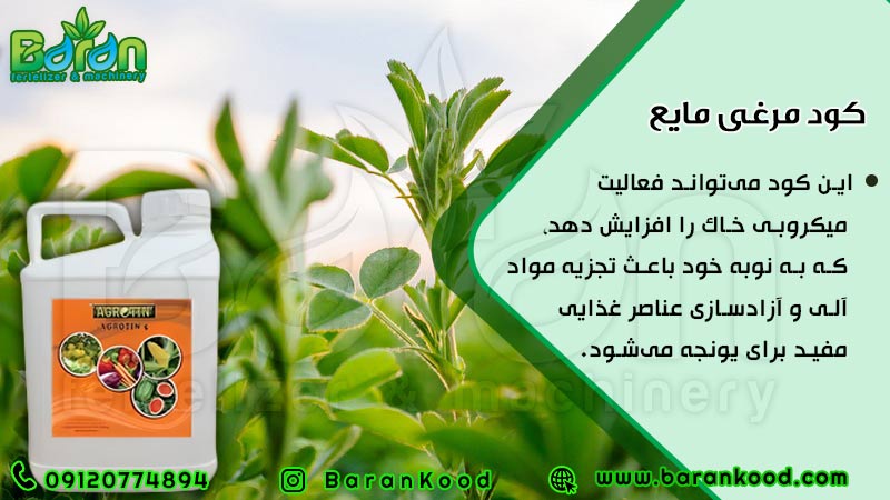 کود مایع مرغی ویژه یونجه