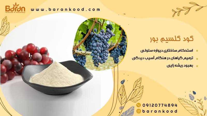 کود کلسیم بور