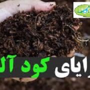 کود سلوپتاس