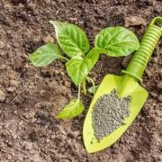 کود سه بیست