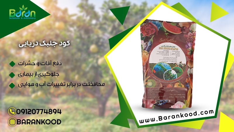 کود جلبک دریایی