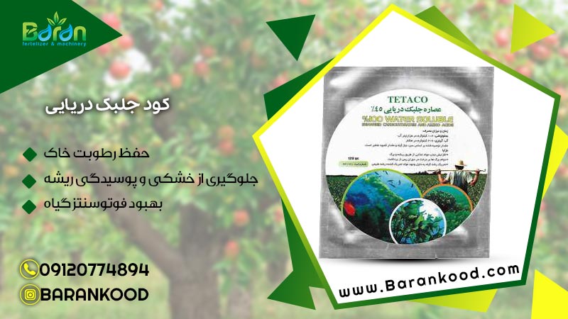 کود جلبک دریایی