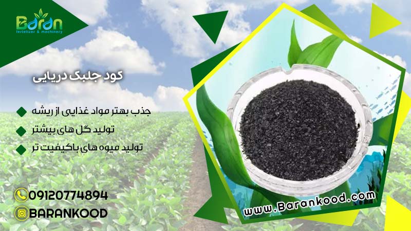 کود جلبک دریایی