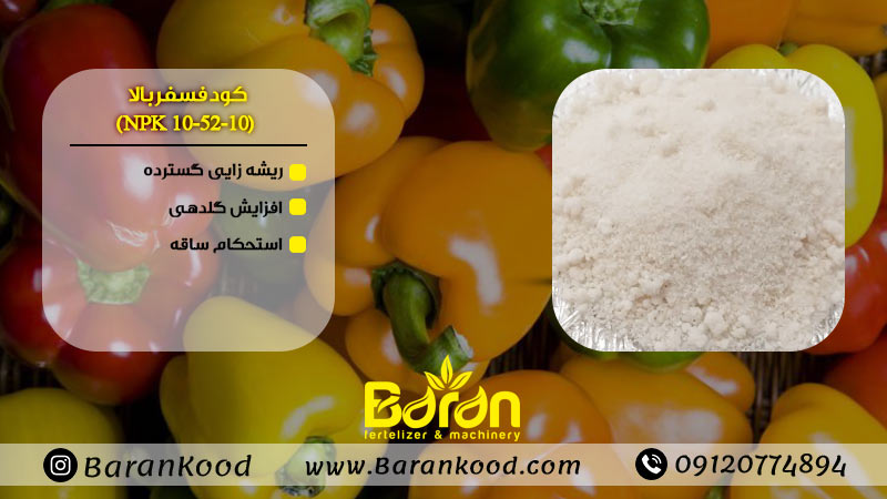 کود فسفر بالا