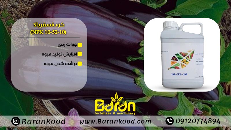 کود فسفر بالا