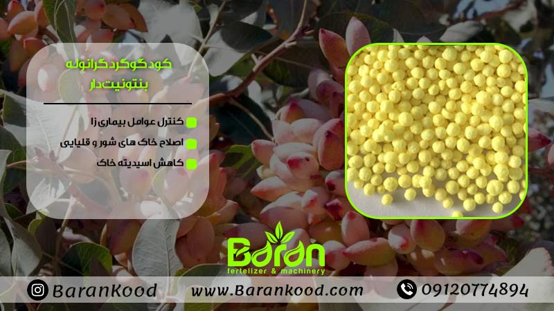 کود گوگرد بنتونیت دار