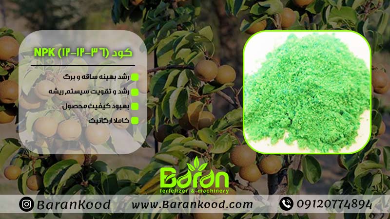 کود پتاس بالا