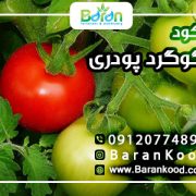 کود گوگردی پودری