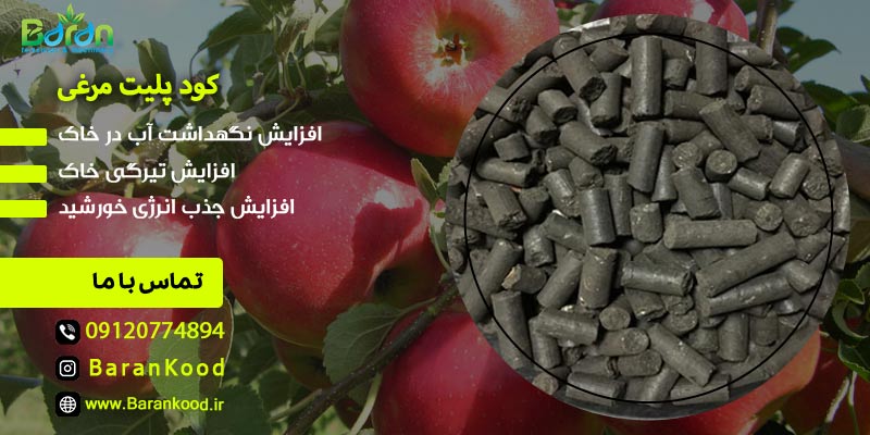 کود مرغی پلیت