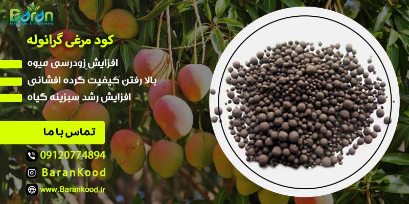 کود مرغی گرانوله