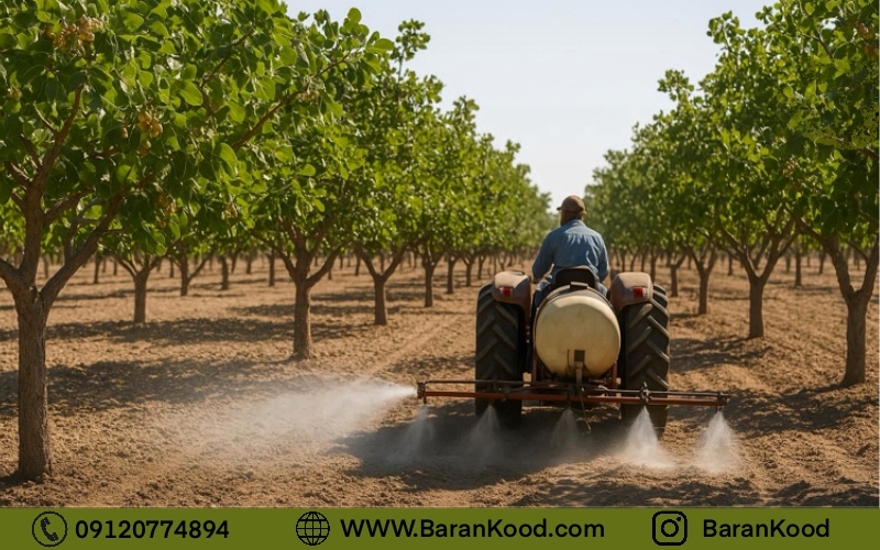 کود سه بیست در برابر کود مرغی؛ راهنمای انتخاب بهینه برای کشاورزی پربازده