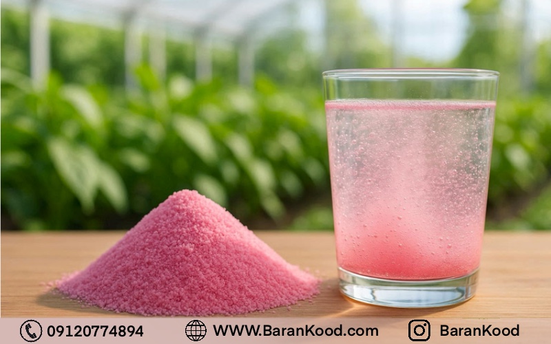 چگونه مناسب‌ترین کود سه بیست را انتخاب کنیم؟ راهنمای انتخاب اصولی و علمی کود 20-20-20