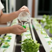 کود گوگرد مایع