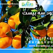 کود سه بیست