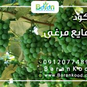 کود مایع مرغی