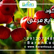 کود مایع مرغی