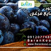 کود مایع مرغی