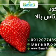 کود پتاس بالا