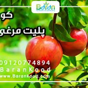 کود پلیت مرغی