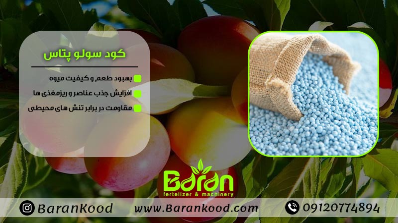  کود سولوپتاس