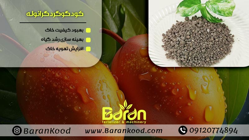 کود گوگرد گرانوله