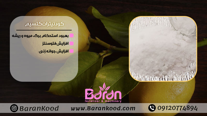 کود نیترات کلسیم