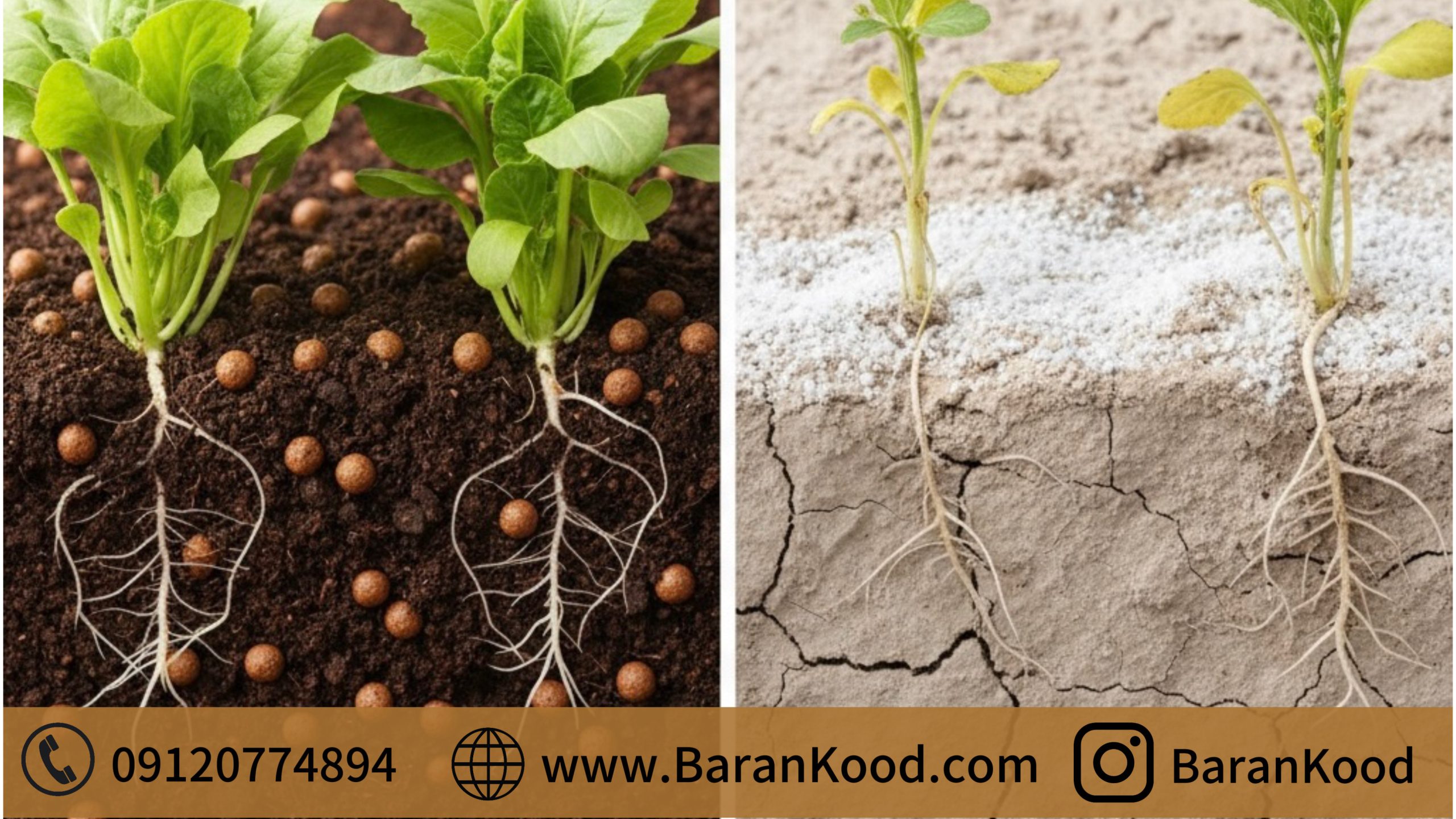 مقایسه کود آلی گرانوله با کود شیمیایی؛ انتخابی هوشمندانه و اقتصادی